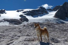 乐鱼电竞在线平台登录入口-“简阳文体中心：羽毛球赛事中演绎速度与精准的完美结合”