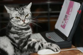 LeyuSports-决赛首球迅速打击PSG士气