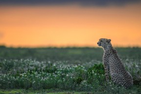 乐鱼（中国）体育官方网站-西甲球队热区密度图调整防守站位和协防策略，西甲球队城市分布