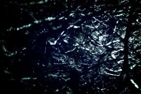 LEYU SPORTS中国官方网站-世界杯豪门争霸：那些令人动容的瞬间，世界杯豪华阵容