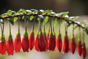 leyu乐鱼官网登录入口-法甲史诗对决：战术布局惊艳全场！，法甲赛场再次爆发混乱