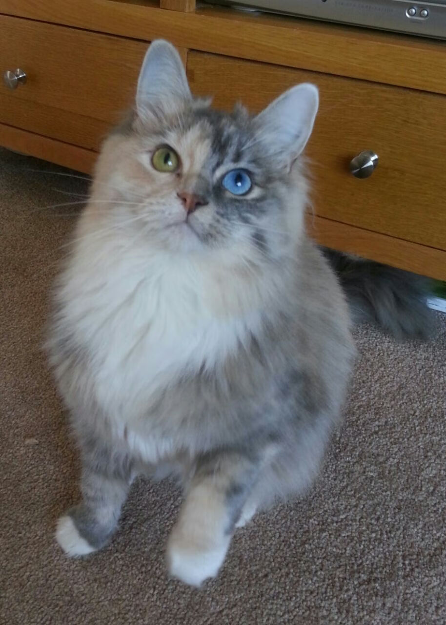 德甲球队高强度对抗中体能衰减与失误关联研究,德甲身体对抗强吗