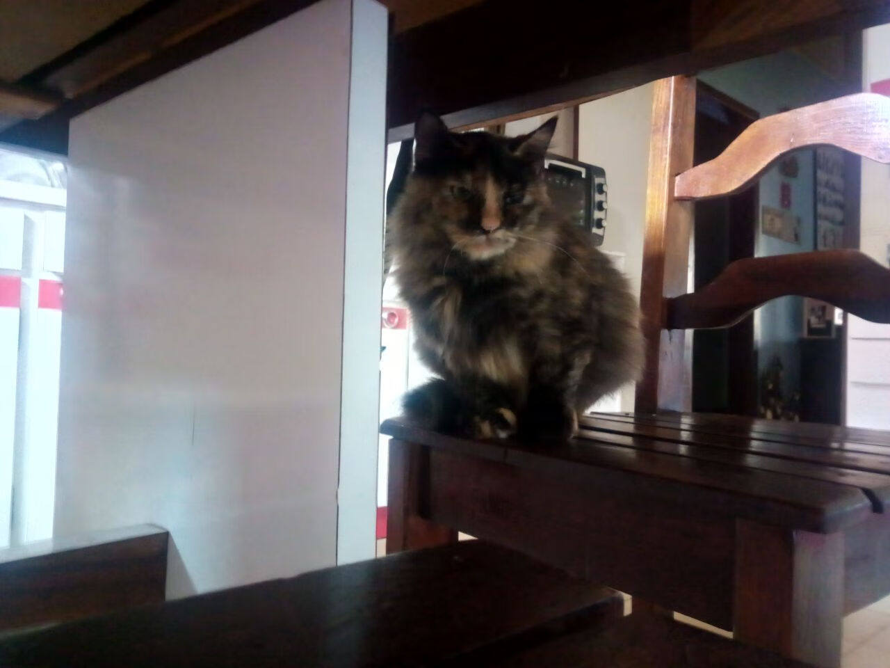 CBA联赛推广校园篮球活动,校园篮球赛宣传方案