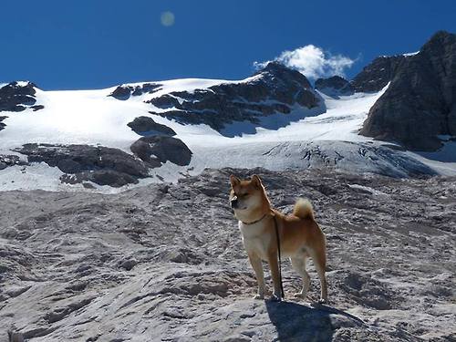 “简阳文体中心:羽毛球赛事中演绎速度与精准的完美结合”