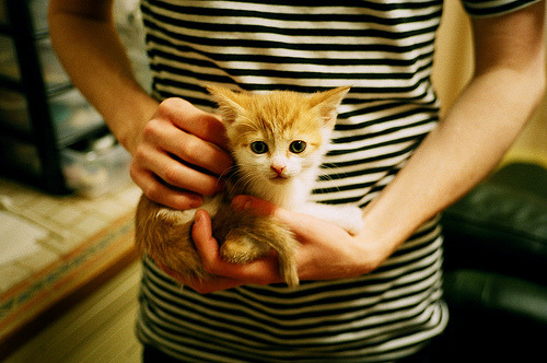 中国三人女篮进攻防守更加均衡，中国女篮三人篮球战绩