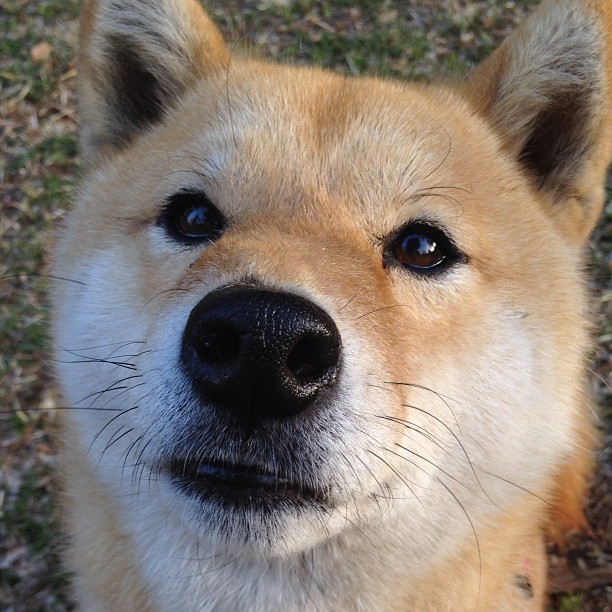 中国男篮强化球员间的非语言配合能力,中国男篮队内训练