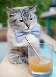 奥运备战项目优化训练内容科学,备战奥运科学化训练人才培训班