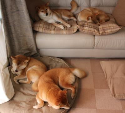 “安赫尔·巴尔博萨的全面进攻能力,成为美洲狮队迈向世界顶级的关键”