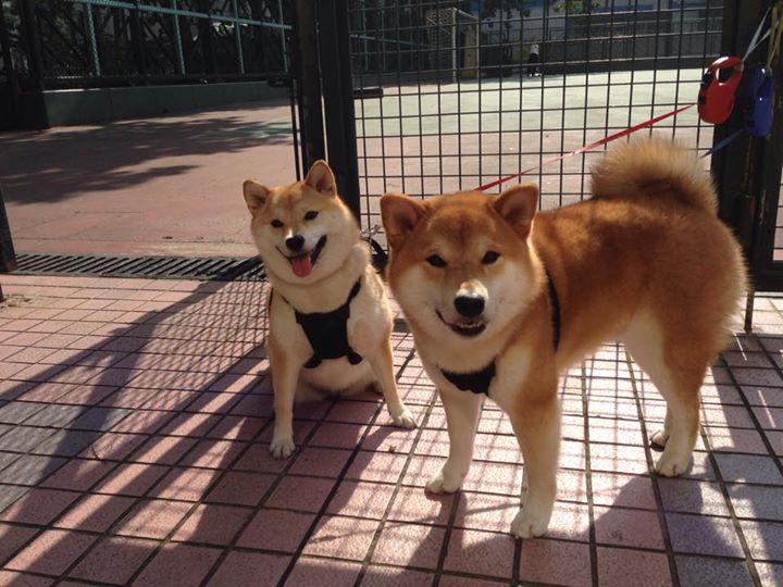 塞维利亚连续取胜，强化西甲竞争力