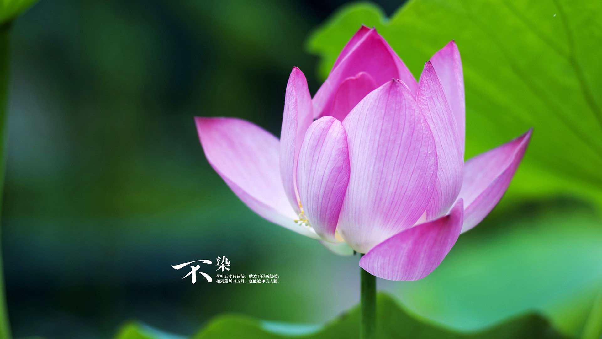 覃海洋赛后感谢团队支持与鼓励