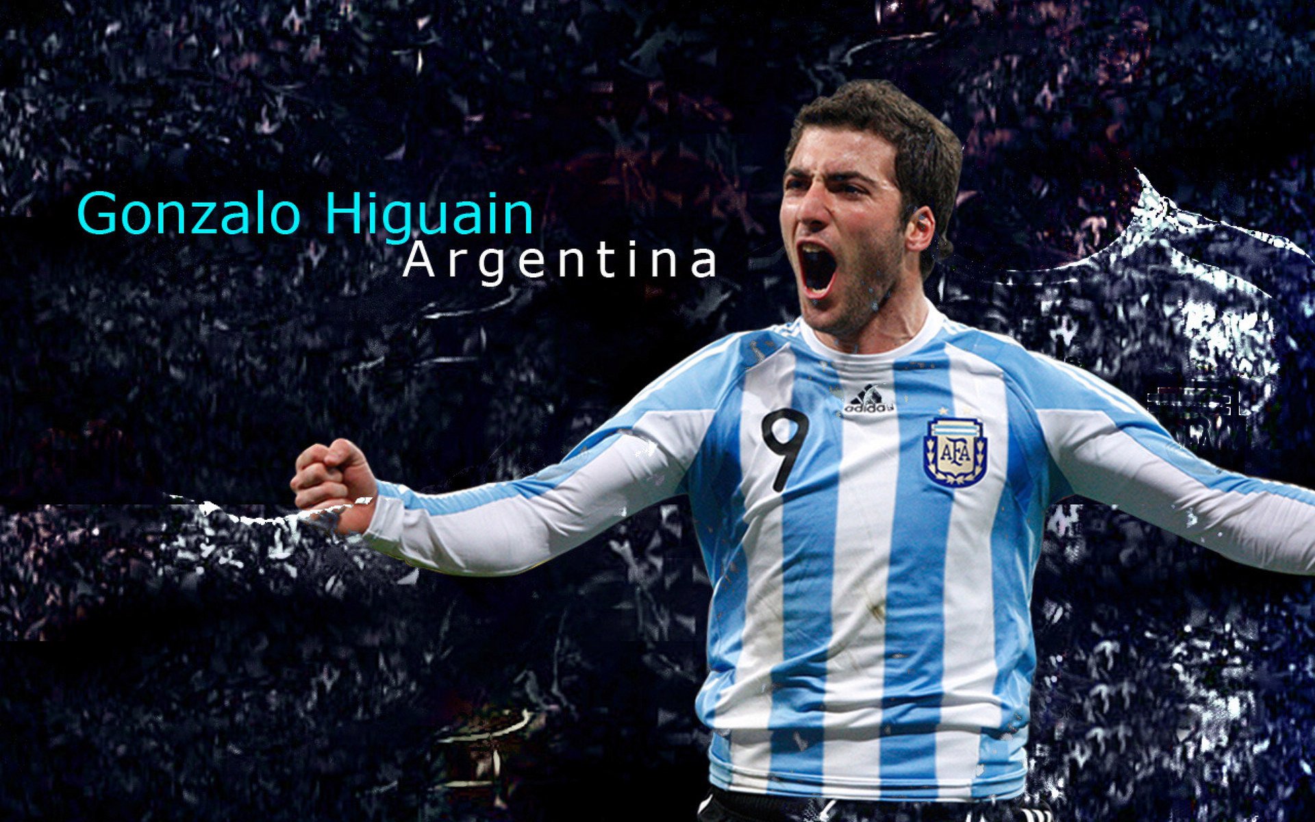 世界杯：环保组织评出“最绿色球场” 榜首体育场使用太阳能供给大部分电力